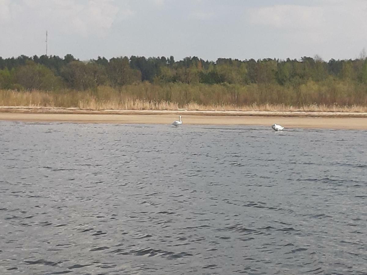Teeveere Summer House Treimani Zewnętrze zdjęcie
